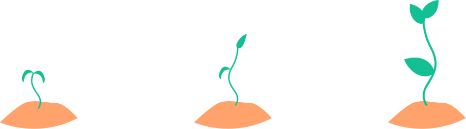 Three stages of plant growth from seedling to sapling, each in soil, showing gradual development and leaf formation.